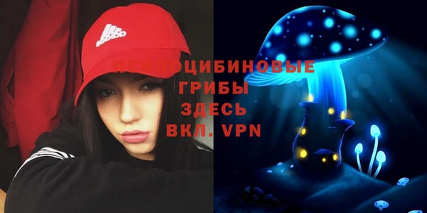 spice Пересвет