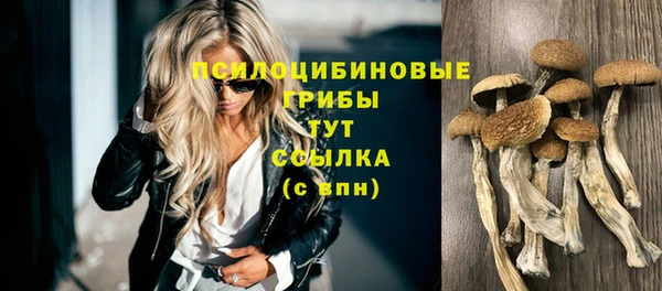 спайс Переславль-Залесский