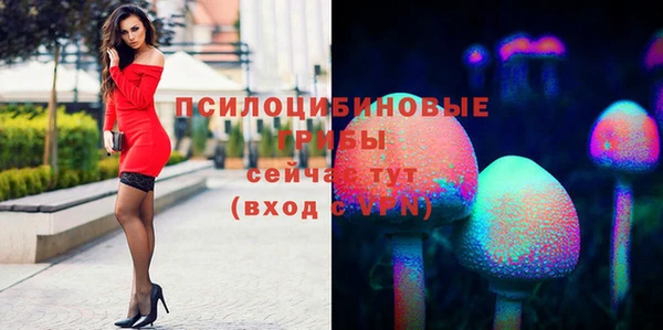 spice Пересвет