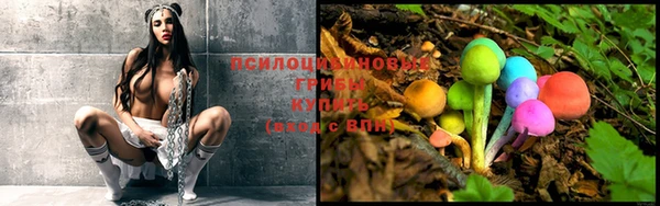 spice Пересвет