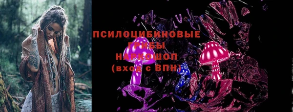 твердый Пестово