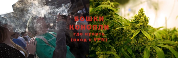 spice Пересвет