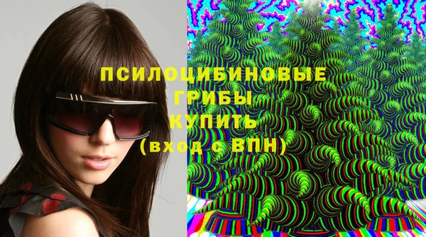 spice Пересвет