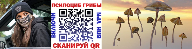 где купить наркоту  Ильский  omg ТОР  Псилоцибиновые грибы Psilocybine cubensis 
